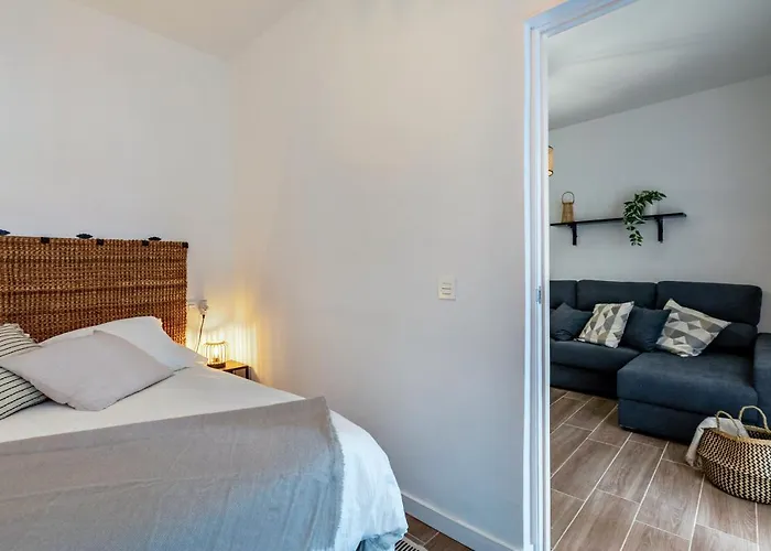 Cruz Centro 아파트 *